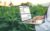 5 IoT Applications in Agriculture Industry _ Smart Farming Solutions