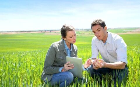 Cursos online de Técnico agrícola _ Euroinnova