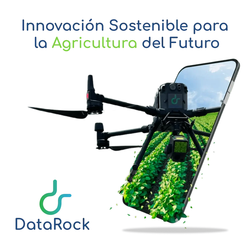 DataRock_img-min