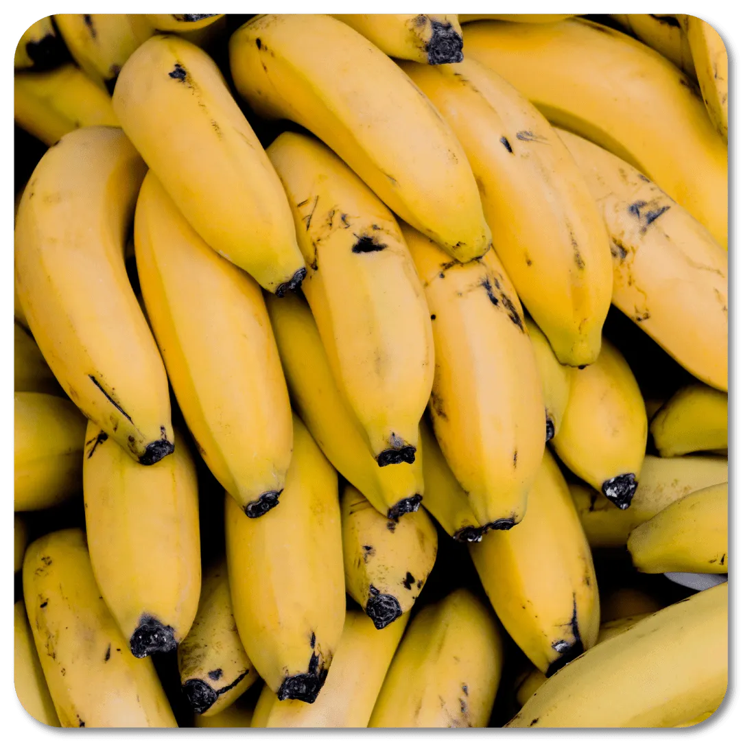 Tema_Banano-min