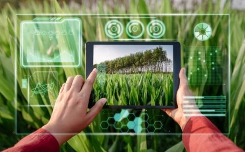 Una aplicación con tecnología ‘blockchain’ para optimizar los cultivos (1)